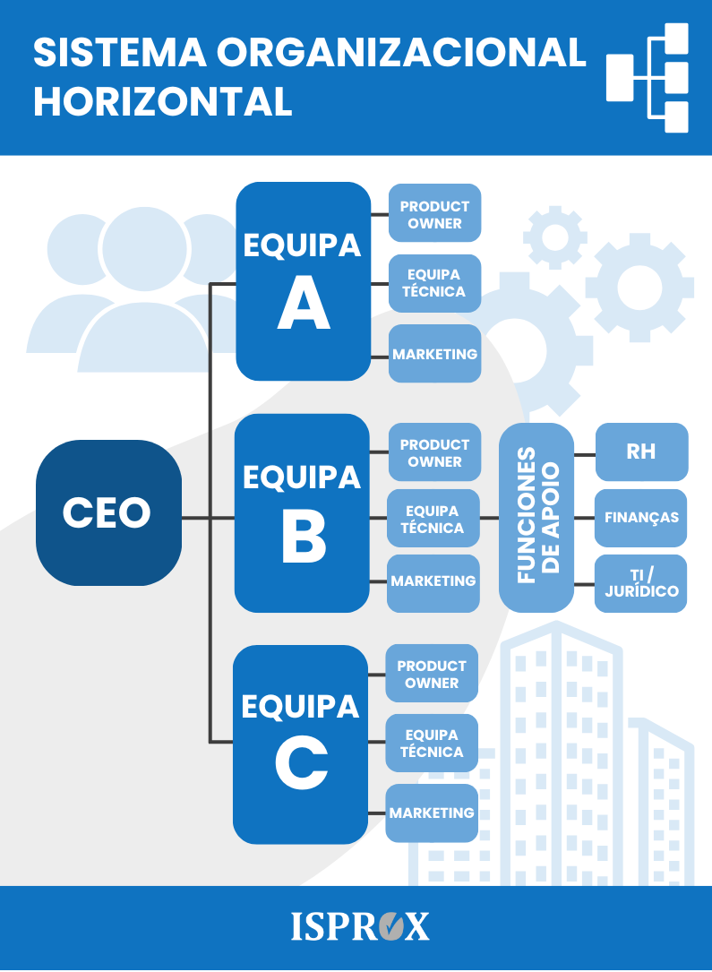 Infografia sobre sistema organizacional horizontal