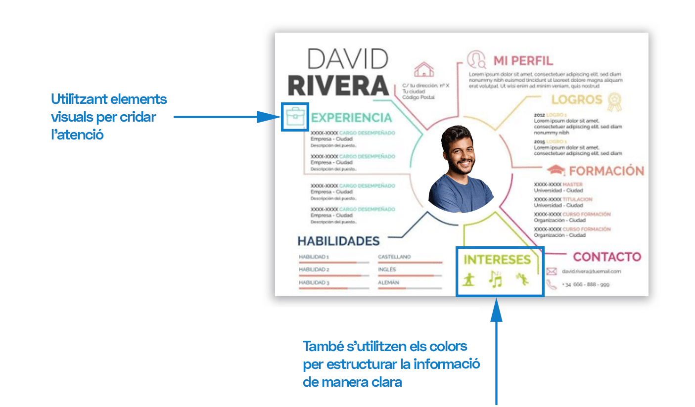 Imatge d'un Curriculum infografic